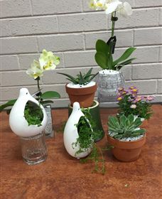 Cobram Florist - New South Wales Tourism  0
