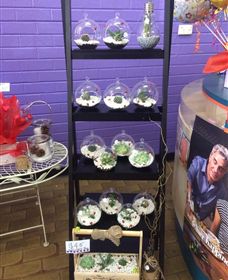 Cobram Florist - New South Wales Tourism  3