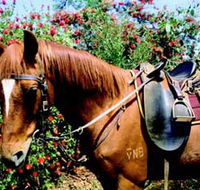 Western Plains Riding Centre - New South Wales Tourism 