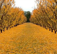 Sun Country on the Murray Farm Gate Trail - New South Wales Tourism 
