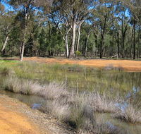 Beni State Conservation Area - New South Wales Tourism 