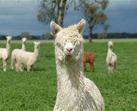 Creswick Woollen Mills - New South Wales Tourism  1