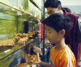 Crystal Kingdom - New South Wales Tourism  2