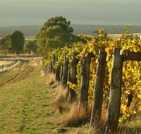 Captains Creek Organic Wines - New South Wales Tourism 