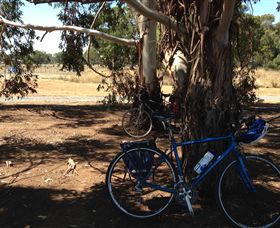 Murchison Rail Trail - New South Wales Tourism  0