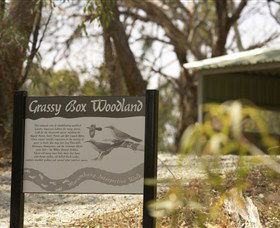 Coolamon NSW New South Wales Tourism 
