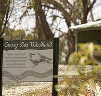 Kindra Forest - New South Wales Tourism 