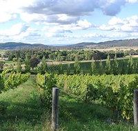 Sassy Wines - New South Wales Tourism 
