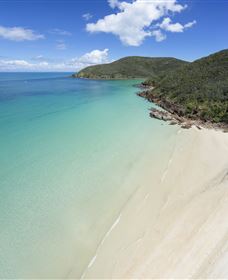 Basil Bay On Keswick Island - New South Wales Tourism  2