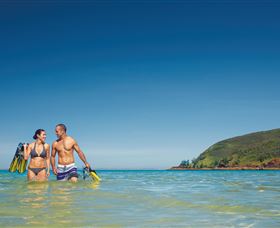 Scuba Diving On Keswick Island - New South Wales Tourism  2