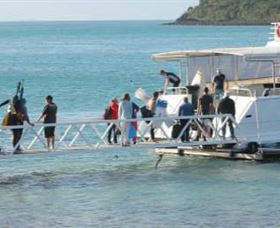 Scuba Diving On Keswick Island - New South Wales Tourism  0
