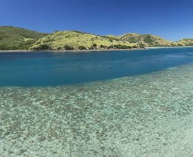 Scuba Diving On Keswick Island - New South Wales Tourism  1