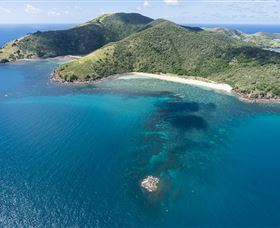 Scuba Diving On Keswick Island - New South Wales Tourism  3