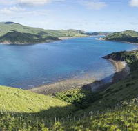 The Cremer Shipwreck Dive Site - Keswick Island - New South Wales Tourism 