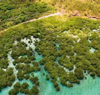 The Singapore Shipwreck Dive Site - Keswick Island - New South Wales Tourism 