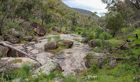 Lynchs Loop Trail - New South Wales Tourism  1