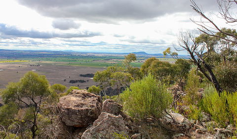 Lynchs Loop Trail - New South Wales Tourism  3
