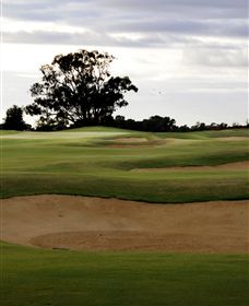 Black Bull Golf Club - New South Wales Tourism  0