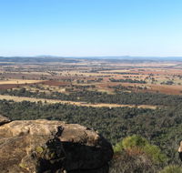 Basin Gully to Eualdrie lookout track - New South Wales Tourism 