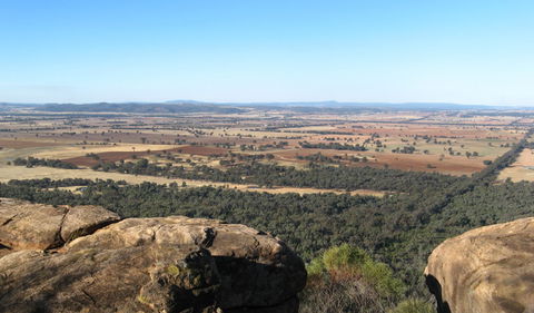 Basin Gully To Eualdrie Lookout Track - New South Wales Tourism  0