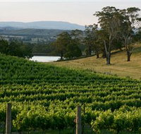 Granite Hills Winery - New South Wales Tourism 