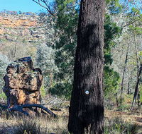 Eualdrie walking track - New South Wales Tourism 