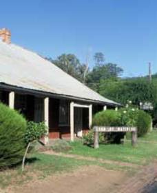 Lion Of Waterloo Tavern - New South Wales Tourism  0