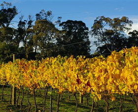 Paramoor Winery - New South Wales Tourism  3