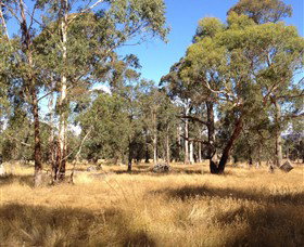 Paramoor Winery - New South Wales Tourism  4