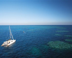 Bait Reef And Garys Lagoon Dive Site - New South Wales Tourism  0