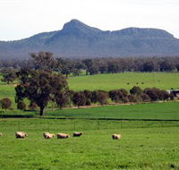 The Rock Nature Reserve - New South Wales Tourism 