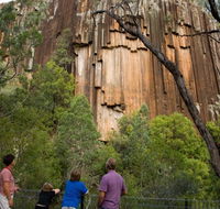 Sawn Rocks walking track - New South Wales Tourism 
