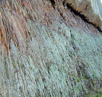 The Rock Nature Reserve - Kengal Aboriginal Place - New South Wales Tourism 