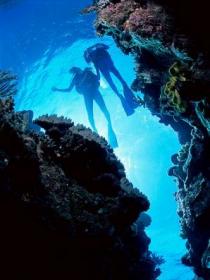Caves And Canyons Dive Site - New South Wales Tourism  0