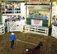 Gracemere Exhibition Complex - New South Wales Tourism 