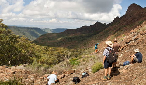 Yulludunida Walking Track - New South Wales Tourism  0