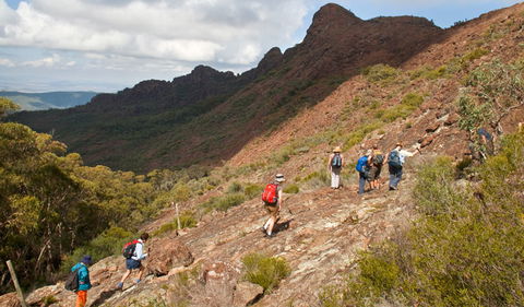 Yulludunida Walking Track - New South Wales Tourism  2