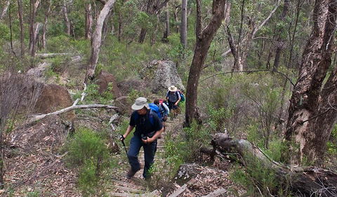 Yulludunida Walking Track - New South Wales Tourism  3