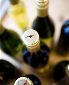 Charles Sturt University Winery Wagga Wagga - New South Wales Tourism  2