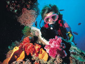 Great Barrier Reef - Whitsundays - New South Wales Tourism  1