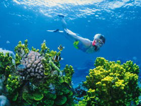 Great Barrier Reef - Whitsundays - New South Wales Tourism  3