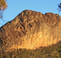 Kaputar scenic drive - New South Wales Tourism 