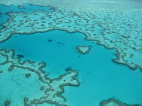 Heart Reef - New South Wales Tourism  0