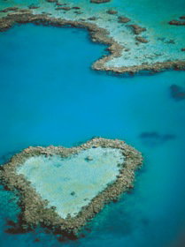 Heart Reef - New South Wales Tourism  3