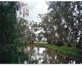 Henty NSW New South Wales Tourism 