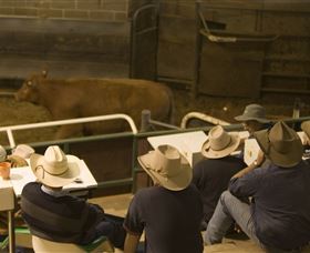 Livestock Marketing Centre - New South Wales Tourism  2