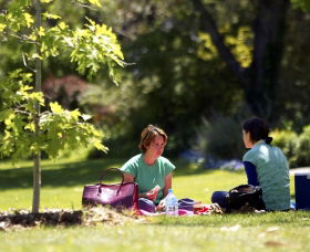 Botanic Gardens Wagga Wagga - New South Wales Tourism  0