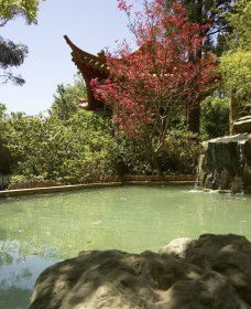 Botanic Gardens Wagga Wagga - New South Wales Tourism  2