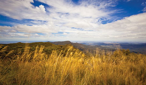 Mount Kaputar Summit Walk - New South Wales Tourism  1
