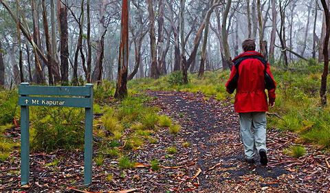 Mount Kaputar Summit Walk - New South Wales Tourism  2